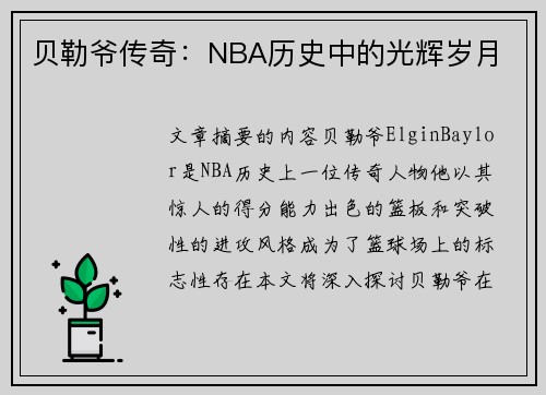 贝勒爷传奇：NBA历史中的光辉岁月