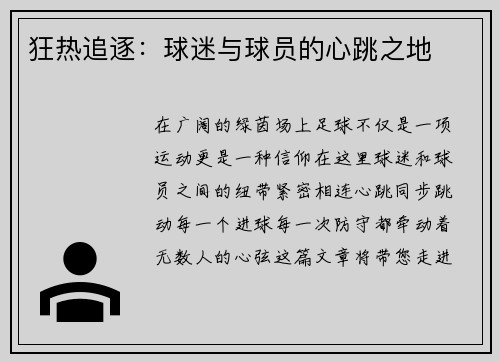 狂热追逐：球迷与球员的心跳之地